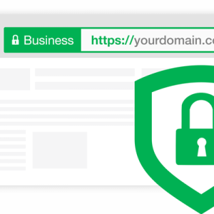 Domain Validation (DV) Certificate