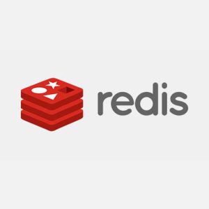 Redis Object Cache