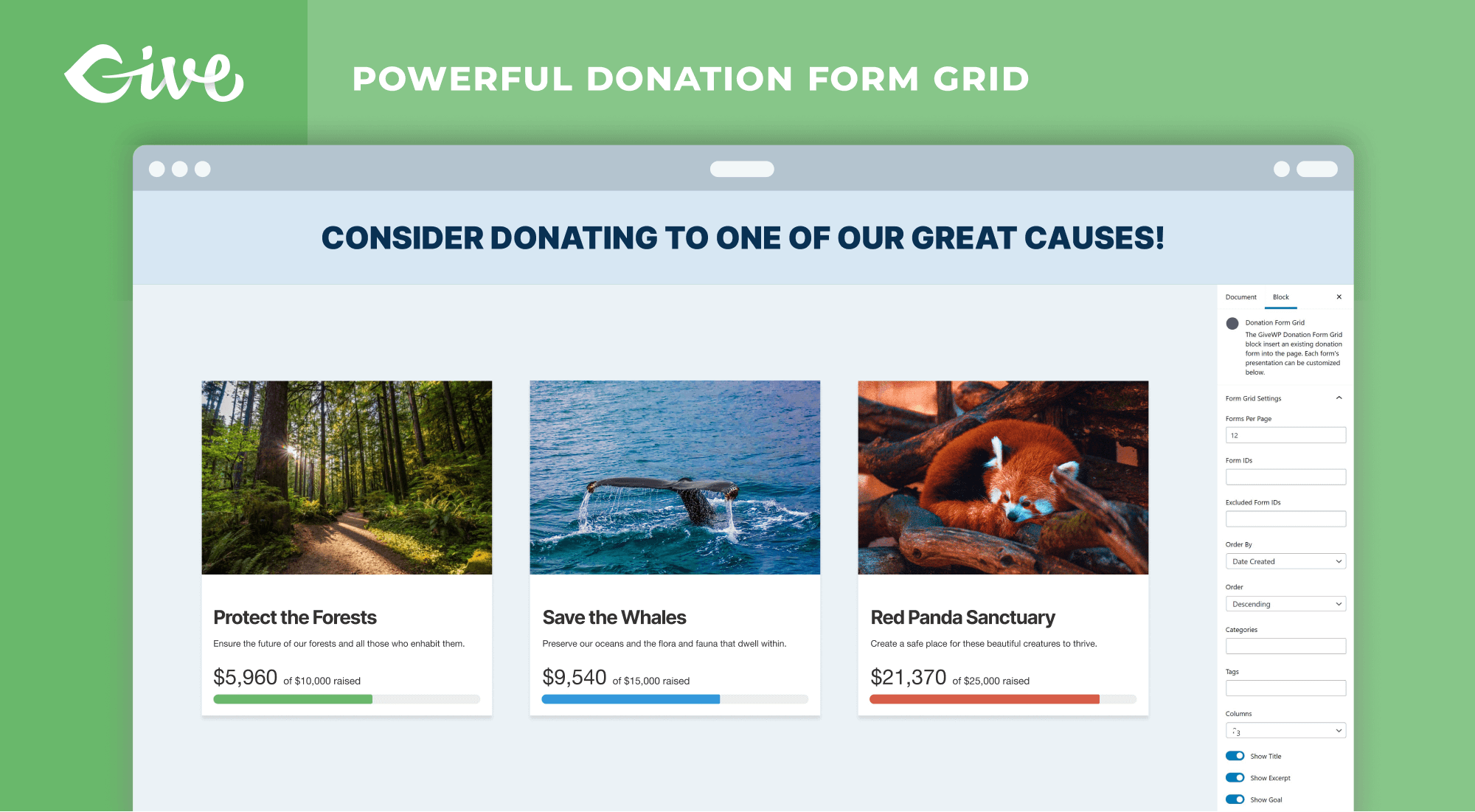 GiveWP – Donation Plugin and Fundraising Platform - Image 4